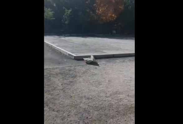 Ծառերի սպանդ, անավարտ շինաշխատանք և փնթիություն Երևանում (տեսանյութ)