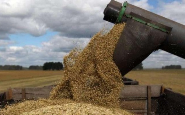 Армения продлила запрет на экспорт зерна и подсолнечного масла за пределы ЕАЭС