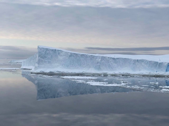 Крупнейший на планете айсберг вынесло в чистую воду Южного океана