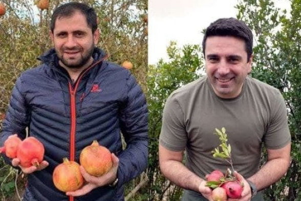 Какова родина Алена Симоняна и остальных ГД-аевцев? (видео)