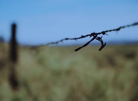 Վրաստանն ու Ադրբեջանը համաձայնեցրել են ընդհանուր սահմանի 70%-ը