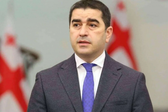 В Грузии призвали Зеленского, Санду и депутатов ЕП извиниться из-за Саакашвили