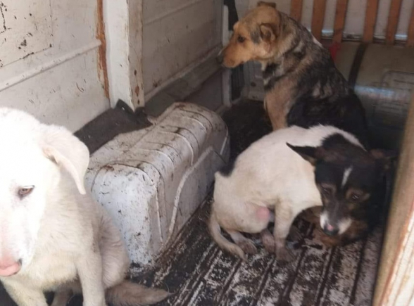 Գյումրու համայնքապետարան, էս ինչա՞․ ձեզ լուրջ թվացել է, որ որևէ մեկը այս ամենը չի՞ բացահայտելու