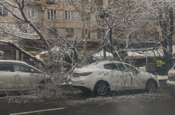 Снег вам на голову: где лопата Тиграна Авиняна? 