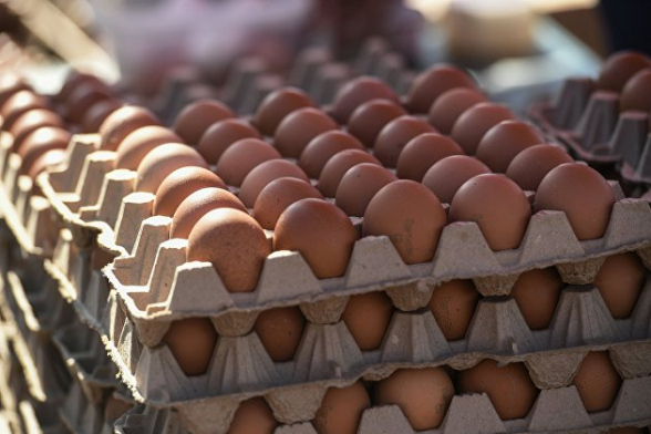 Россия с начала года получила 1,5 млн куриных яиц из Турции