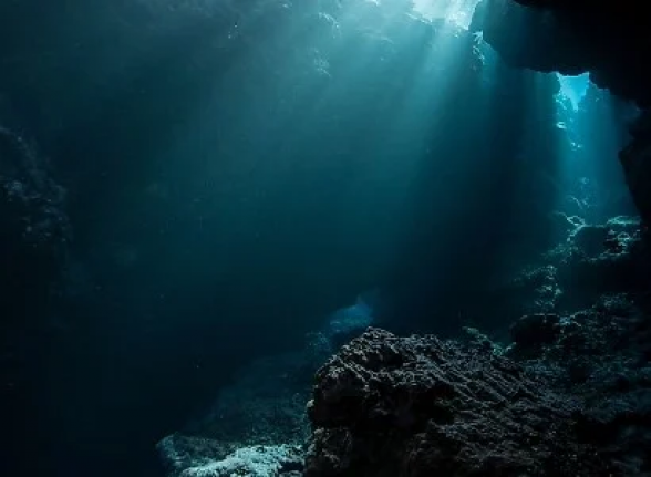 Օվկիանոսի ամենախոր կետում հայտնաբերվածը վախեցրել է գիտնականներին