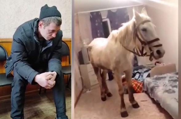 ՌԴ-ում տղամարդը 5-րդ հարկում գտնվող բնակարան ձի է բերել՝ կնոջը Մարտի 8-ի առթիվ շնորհավորելու համար (տեսանյութ)