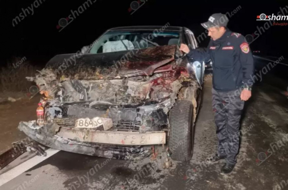 Երևան-Երասխ ճանապարհին Toyota Land Cruiser Prado-ն բախվել է ոչխարի հոտին․ 28 ոչխար սատկել է