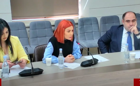 8 օրվա երաշխիք էլ չենք կարում տալ, դուք 8 տարին ո՞րտեղից վերցրեցիք. Ագնեսա Խամոյան (տեսանյութ)