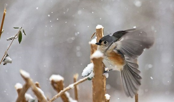 В ряде регионов Армении ожидаются обильные снегопады