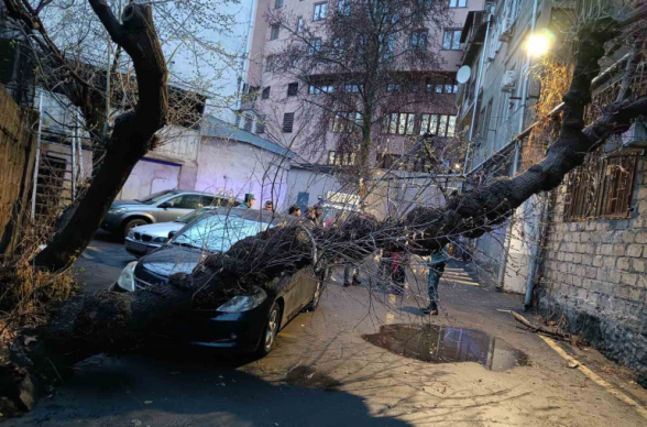 Երևանում ծառը տապալվել է ավտոմեքենայի վրա (լուսանկար)