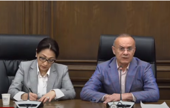 Фракция «Армения» подвела итоги парламентской недели (видео)
