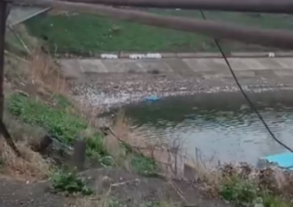 Представитель движения «Мать Армения» Сона Агекян показала мусорные свалки у Ереванского озера (видео)