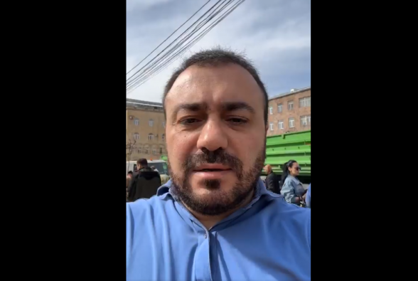 Вырубка деревьев с применением насилия (видео)