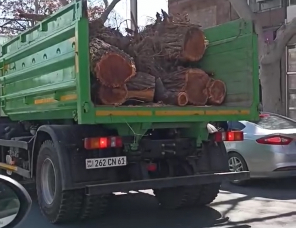 Այս ծառահատումները սպառնալիք են ամռան շոգ տապին ընդառաջ` ստվեր չենք ունենալու, թթվածին չենք ունենալու