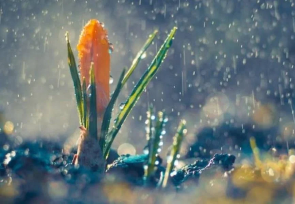 Օդի ջերմաստիճանը կբարձրանա 5-7 աստիճանով, սպասվում են տեղումներ