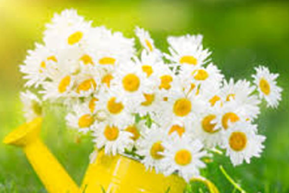 Օդի ջերմաստիճանը կշարունակի աստիճանաբար բարձրանալ