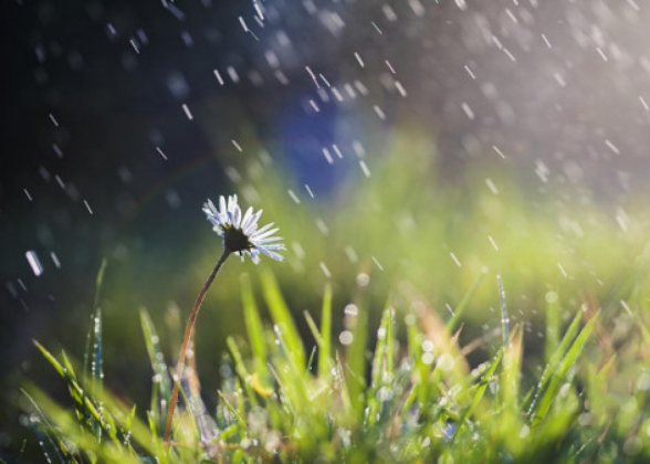 Առանձին շրջաններում սպասվում է կարճատև անձրև և ամպրոպ