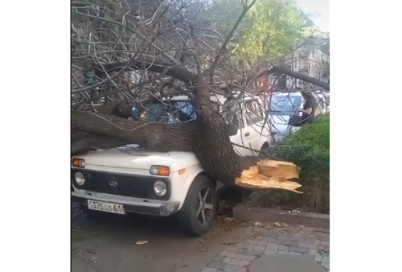 Չանցած 2 օր, ՔՊԿ-ն նորից անգործություն ցուցաբերեց (տեսանյութ)