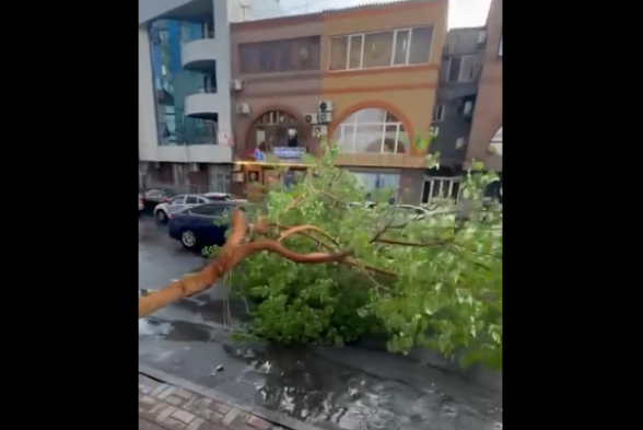 Ծառը ընկել է երթևեկելի գոտում և խոչընդոտներ է առաջացնում երթևեկությանը (տեսանյութ)