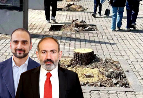 82 մլն 168 հազար դրամ՝ 1080 ծառի համար, որից տնկվել է մոտ 400-ը․ Երևանի իշխանությունները ձախողել են․ «Ժողովուրդ»