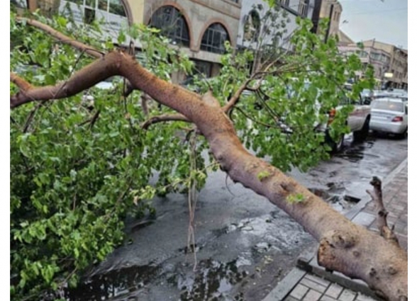 Վնասներ Երևանում՝ քամու հետևանքով