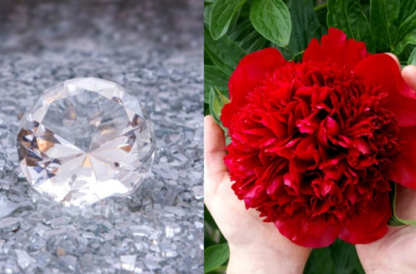 Չինացի գիտնականներն աշխարհում առաջին անգամ կարմիր քաջվարդից ադամանդ են ստեղծել