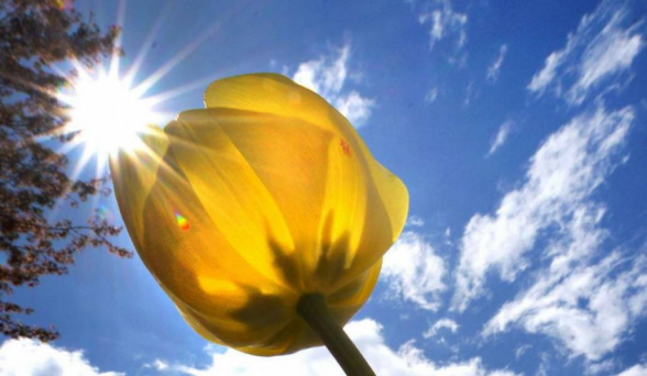 Օդի ջերմաստիճանն աստիճանաբար կբարձրանա 3-5 աստիճանով