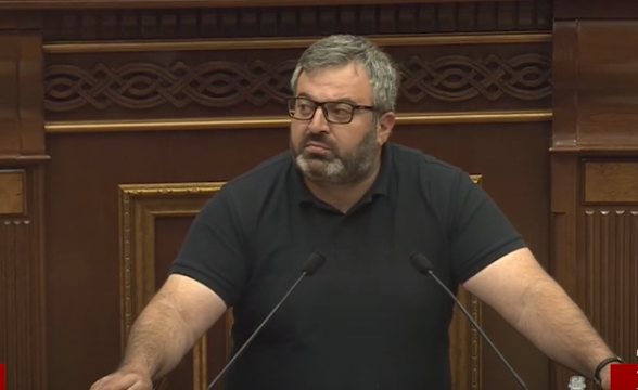 Пусть работники безопасности НС уйдут, посадим деревья – Гарник Даниелян (видео)