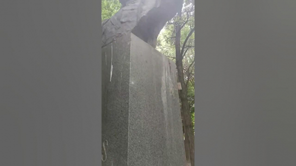 Սա թղթի վրա գրվածն է, իսկ իրականությունը` տեսանյութում․ Սոնա Աղեկյան