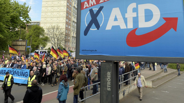 Ультраправые впервые со Второй мировой победили на местных выборах в ФРГ