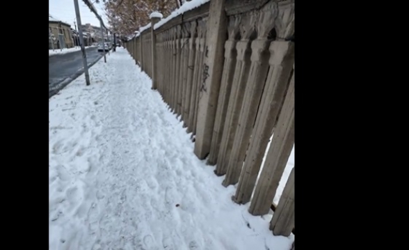 Քաղաքային ոչ լեգիտիմների շոուների մասին․ «Մայր Հայատան» ավագանու անդամ (տեսանյութ)