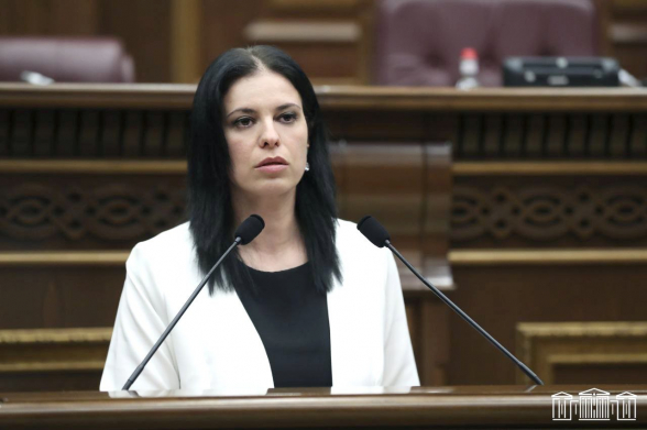 Իմ անձնական համակրանքը «Մայր Հայաստանի» կողմն է․ Արեգնազ Մանուկյան