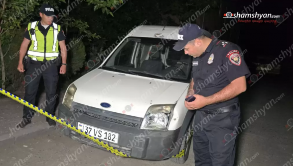 Աղավնատուն գյուղում «Ford Transit»-ը վրшերթի է ենթարկել անչափահաս քույր ու եղբոր