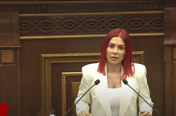 Այս ամեն ինչից շատ է բոլշևիզմի նեխահոտը․ Ագնեսա Խամոյան (տեսանյութ)