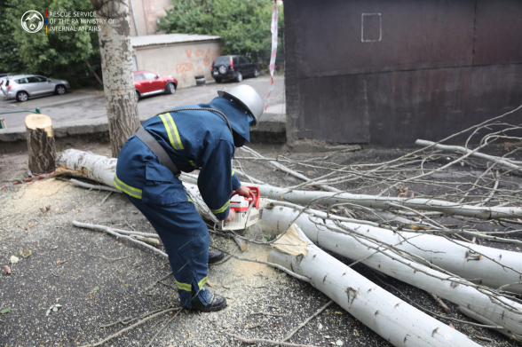 Ուժեղ քամին տապալել է ծառեր, սյուներ, շինություններից պոկել տանիքներ