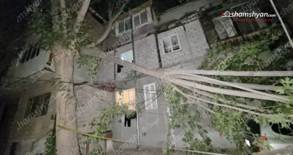 Երևանում հսկայական ծառի ճյուղը կոտրվել, ընկել է ավտոմեքենաների վրա