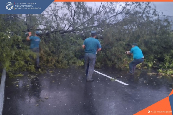 Իջևան-Նոյեմբերյան ճանապարհին ծառն ընկել է «Kia» մակնիշի ավտոմեքենայի վրա