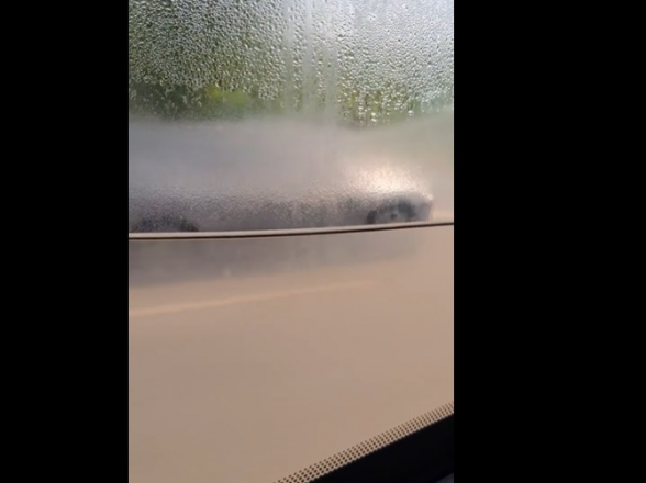 Վճարիր 150 դրամ և երթևեկիր ակվարիումում, թե՞ ակվարիումով (տեսանյութ)