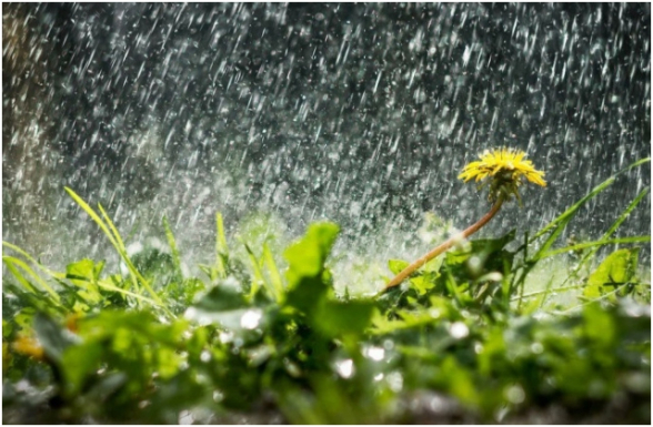 Օդի ջերմաստիճանը կնվազի 8-12 աստիճանով