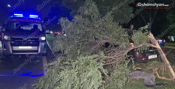 Դավթաշենում «Kia»-ն կոտրել է ոռոգման ջրի փականը, ապա՝ ծառը և հայտնվել երթևեկելի գոտուց դուրս․ կա վիրավոր
