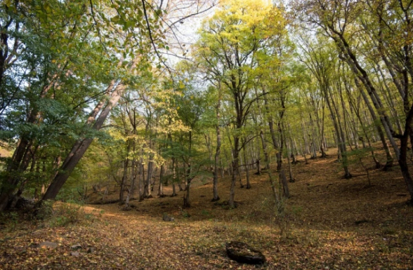 Սպասվում է նորմայից տաք և սակավատեղում հոկտեմբեր