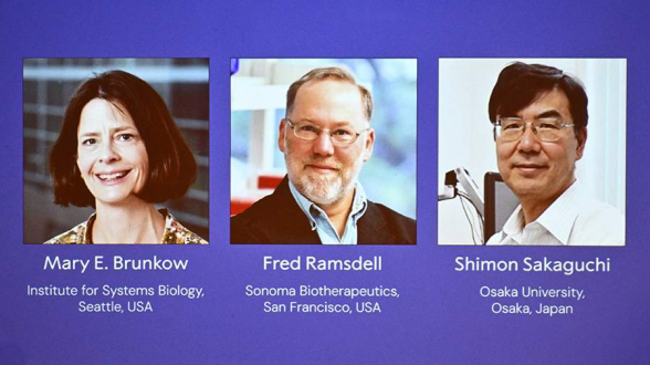 Нобелевскую премию по медицине присудили за исследования иммунитета