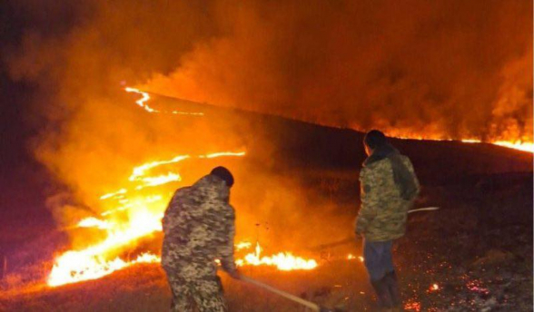 Դիլիջանի անտառային տարածքներում շարունակվում են հրդեհաշիջման աշխատանքները