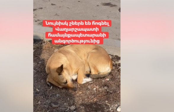 Անտարբերությունը քաղաքական որոշում է, ոչ թե պատահականություն (տեսանյութ)