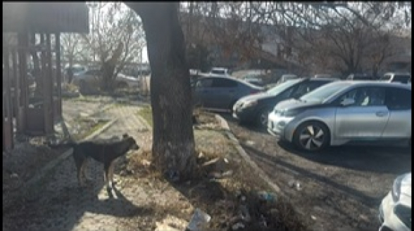 Համայնքային տարածքը վերածվել է հանրային զուգարանի (տեսանյութ)