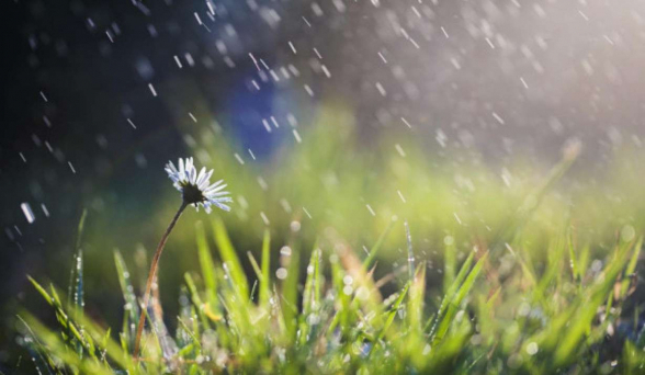 Երևանում և շրջանների մեծ մասում տեղումներ կդիտվեն