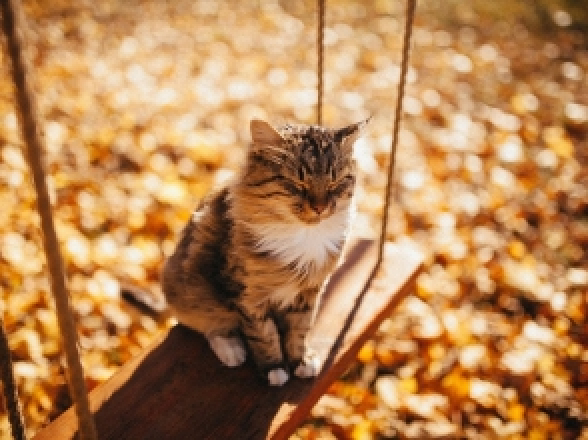 Օդի ջերմաստիճանն այսօր ցերեկային ժամերին կբարձրանա