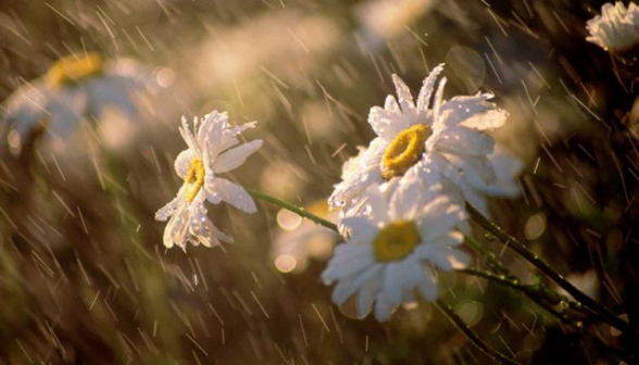 Օդի ջերմաստիճանը կնվազի 4-6 աստիճանով