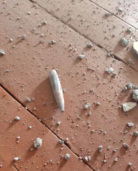 97470022_2887773787925429_8952263436159418368_n